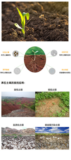 沸石土壤改良劑在土壤修復中的應用與優勢