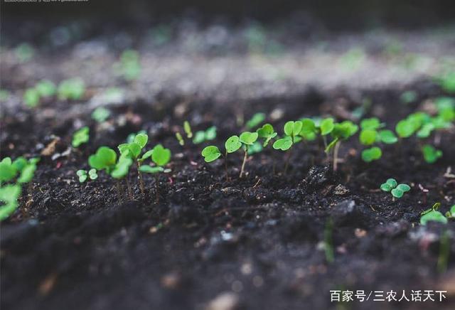 土壤也會(huì)生病 土壤修復(fù)問題刻不容緩