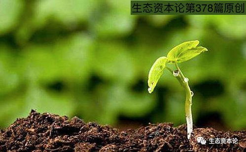 姜林親贊土壤修復(fù)專家 提升“免疫能力”是未來(lái)修復(fù)關(guān)鍵